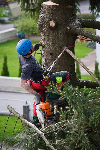  New Berlin, IL Tree Services Pros